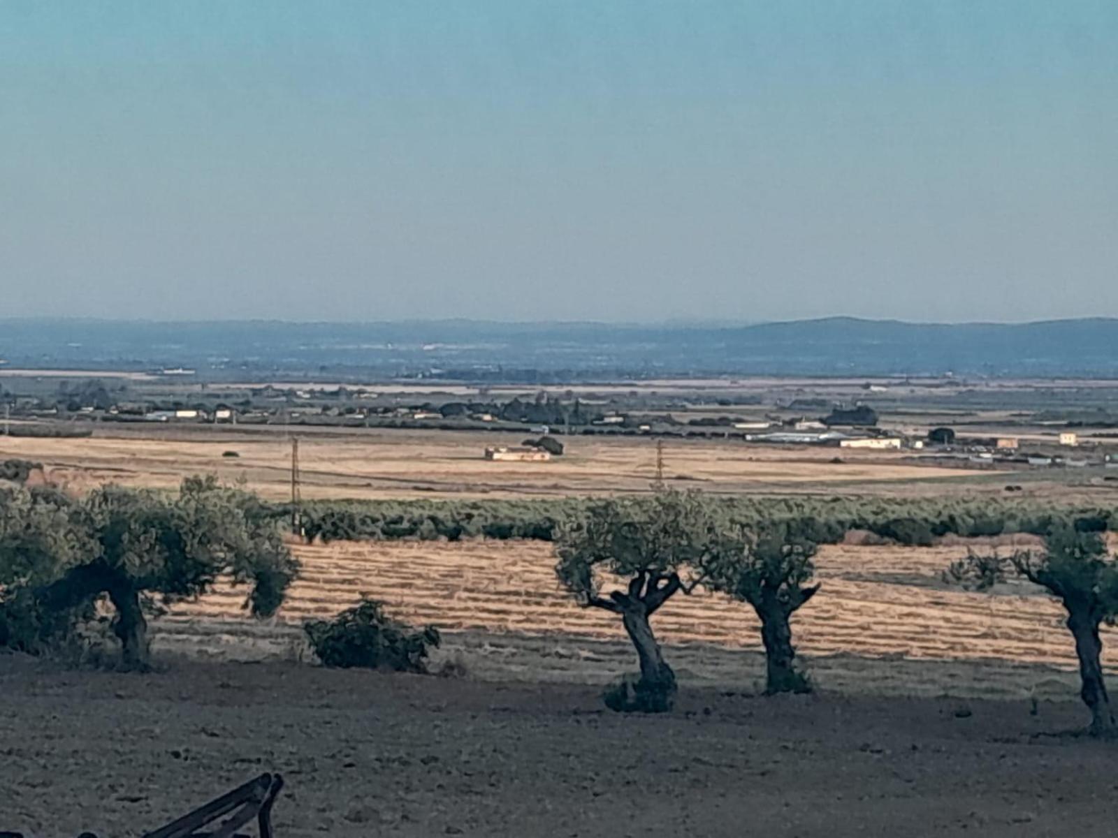 Casa Rural Cerro Campon Кармона Экстерьер фото