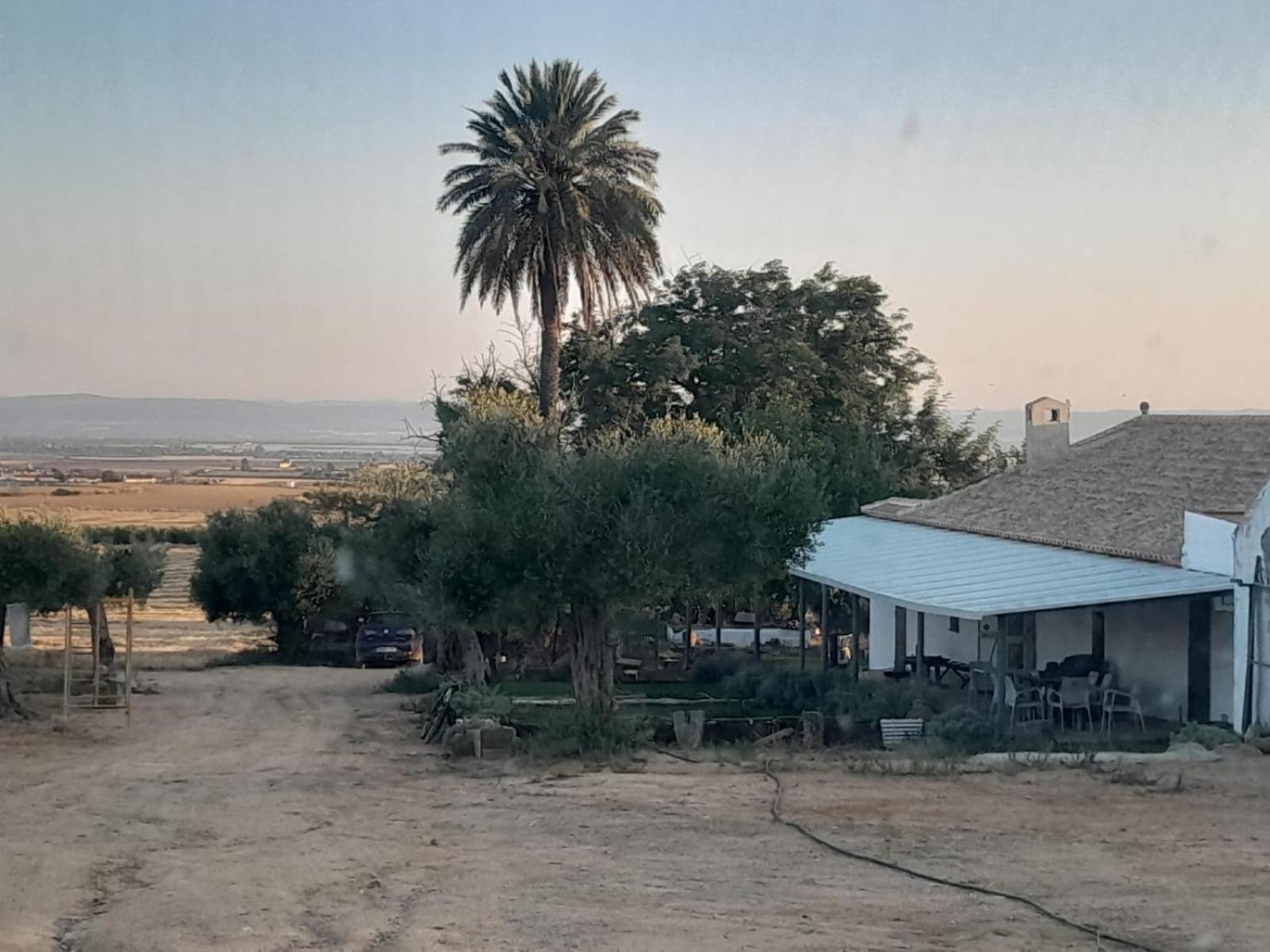 Casa Rural Cerro Campon Кармона Экстерьер фото