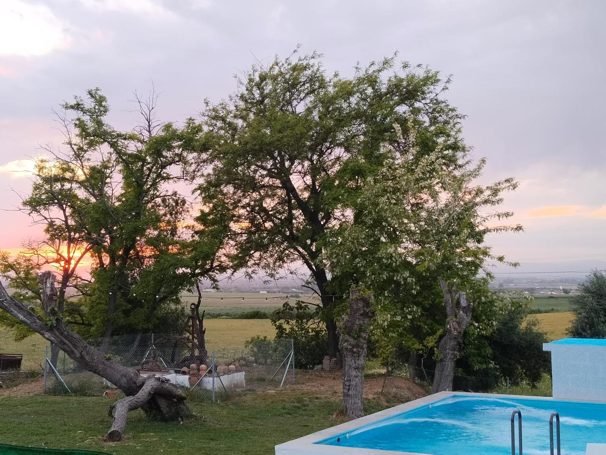 Casa Rural Cerro Campon Кармона Экстерьер фото